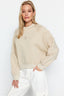 Trendyolmilla Taş Bisiklet Yaka Regular Fit Nakışlı Kalın İçi Polarlı Örme Sweatshirt TWOAW24SW00199