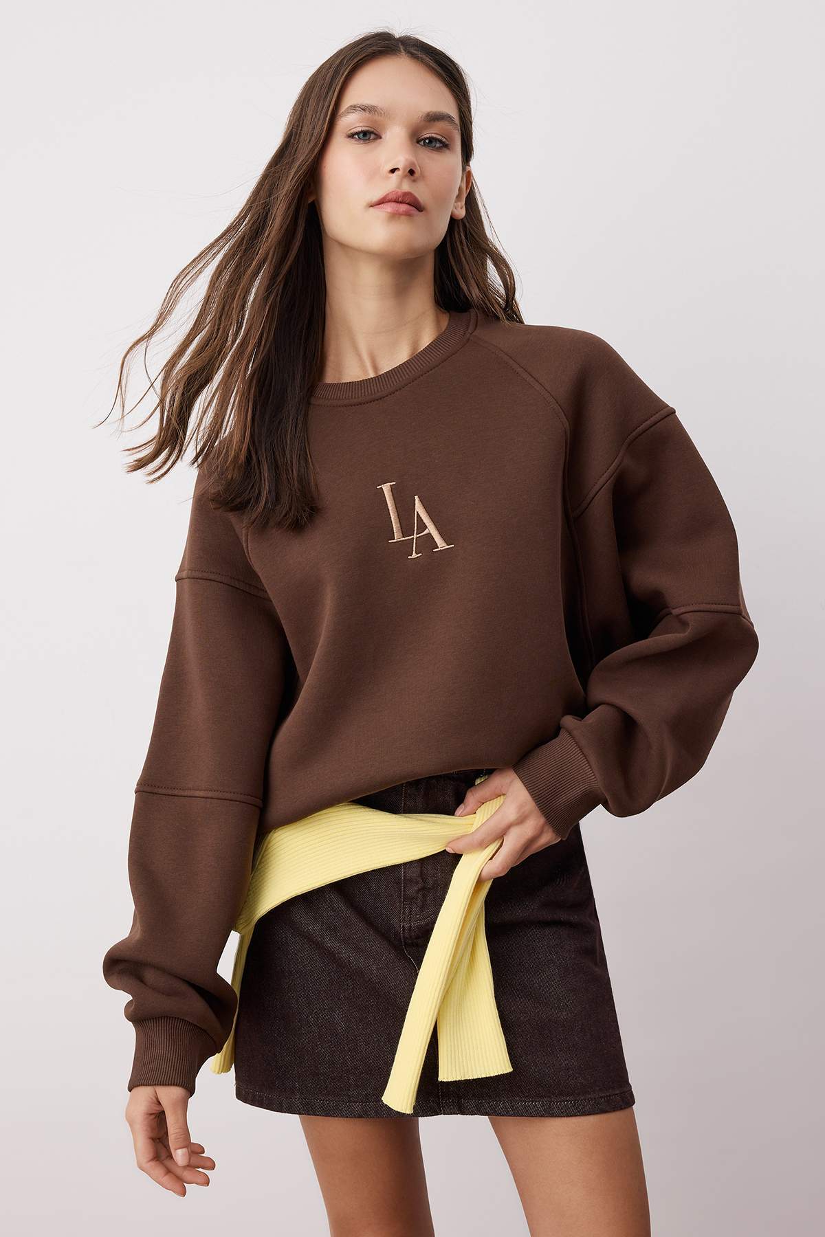 Trendyolmilla Taş Bisiklet Yaka Regular Fit Nakışlı Kalın İçi Polarlı Örme Sweatshirt TWOAW24SW00199