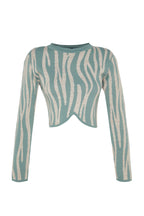 Mint Crop Zebra Desenli Renk Bloklu Triko Kazak TWOAW24KZ00694