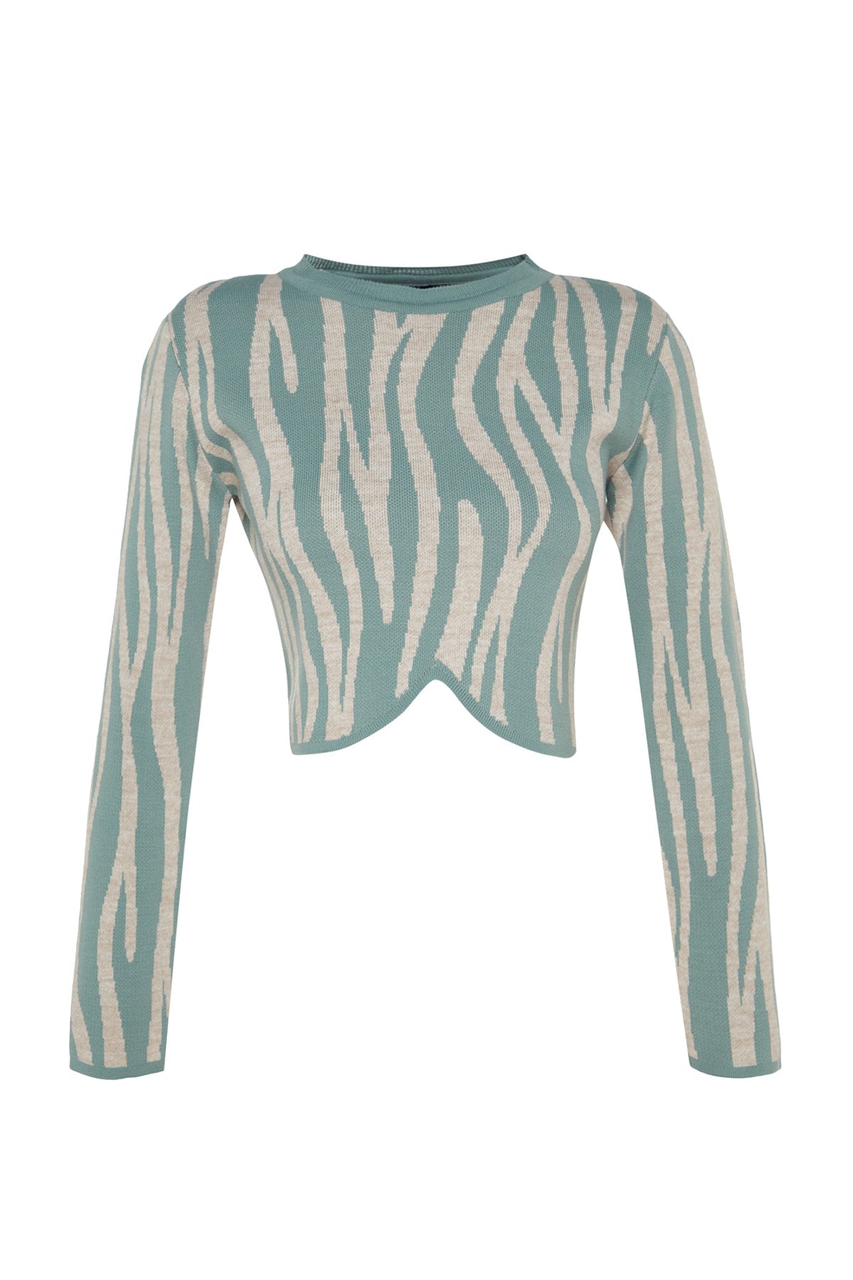 Mint Crop Zebra Desenli Renk Bloklu Triko Kazak TWOAW24KZ00694