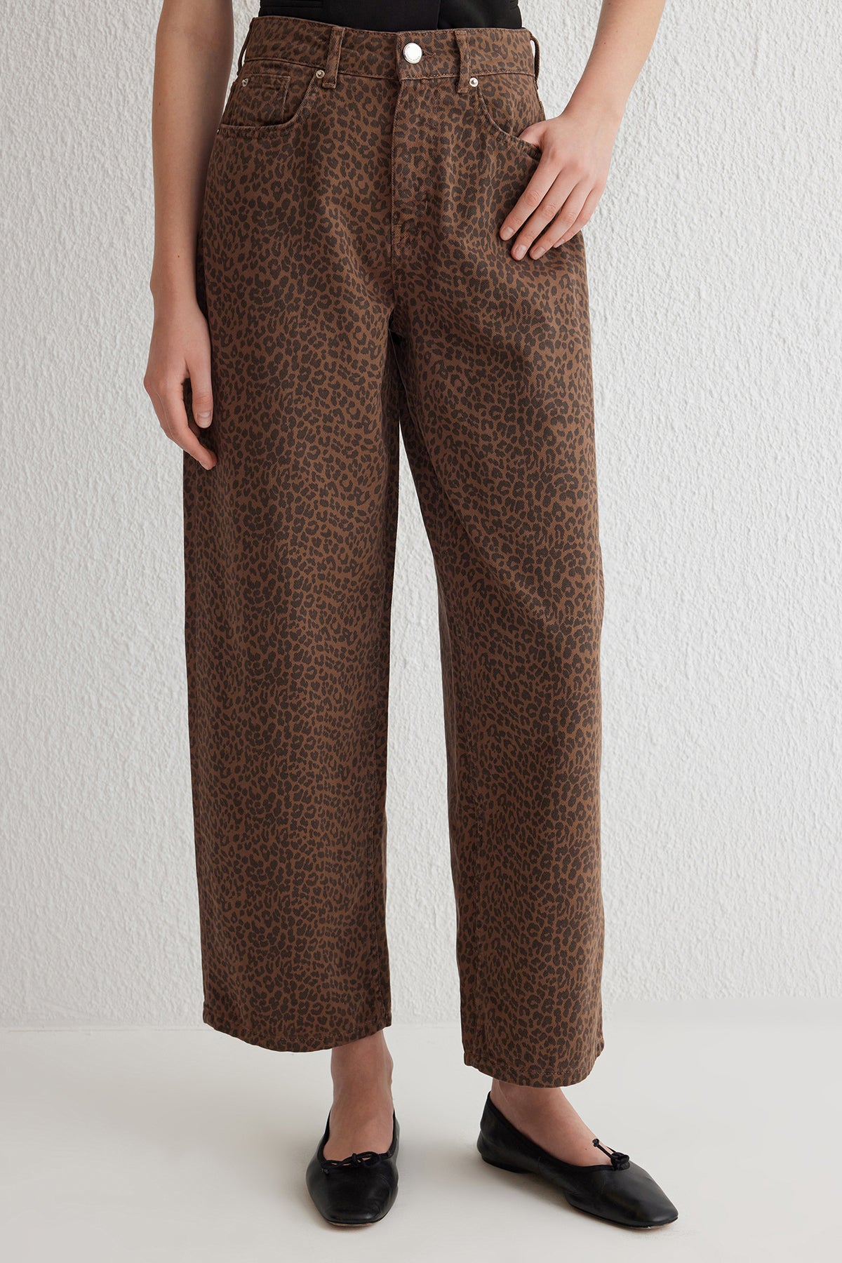 Çok Renkli Leopar Desenli Kahverengi Normal Bel Skater Baggy Jeans TWOSS25JE00038
