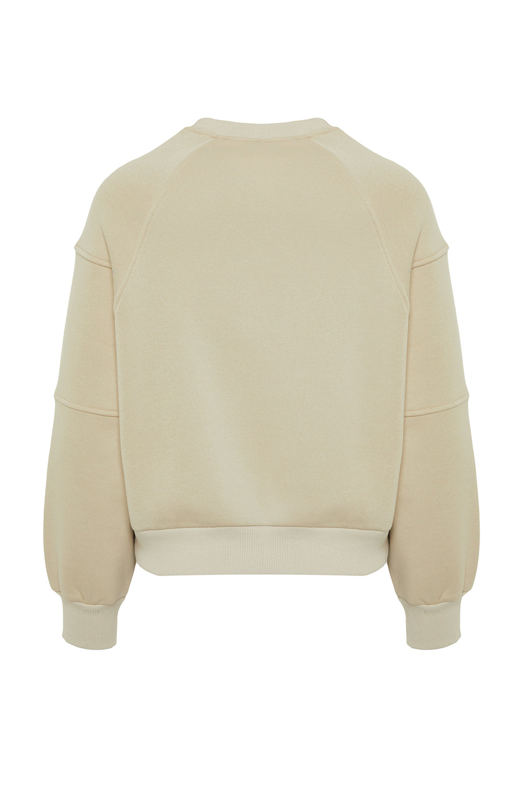 Trendyolmilla Taş Bisiklet Yaka Regular Fit Nakışlı Kalın İçi Polarlı Örme Sweatshirt TWOAW24SW00199