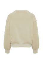 Trendyolmilla Taş Bisiklet Yaka Regular Fit Nakışlı Kalın İçi Polarlı Örme Sweatshirt TWOAW24SW00199