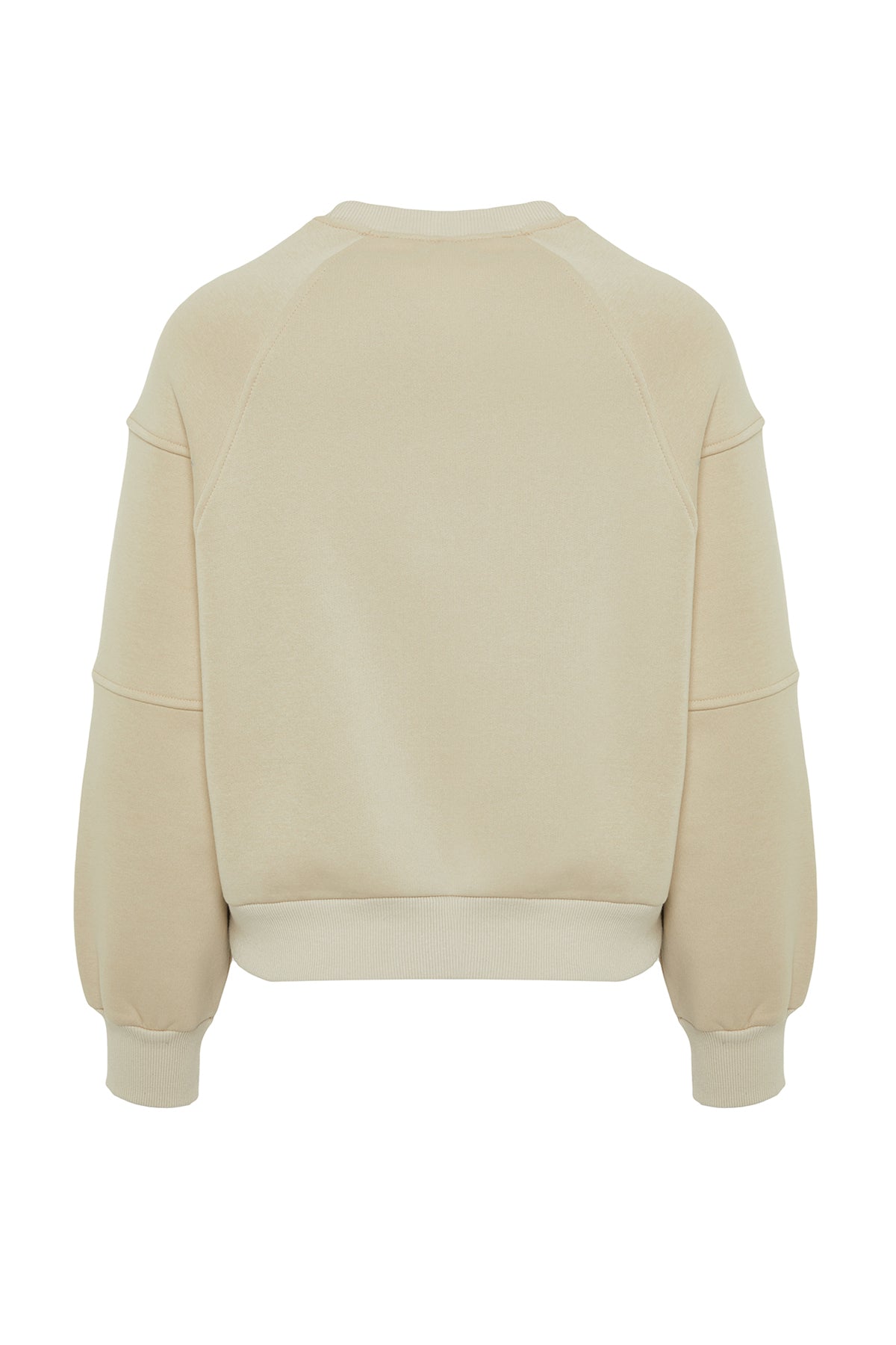 Trendyolmilla Taş Bisiklet Yaka Regular Fit Nakışlı Kalın İçi Polarlı Örme Sweatshirt TWOAW24SW00199