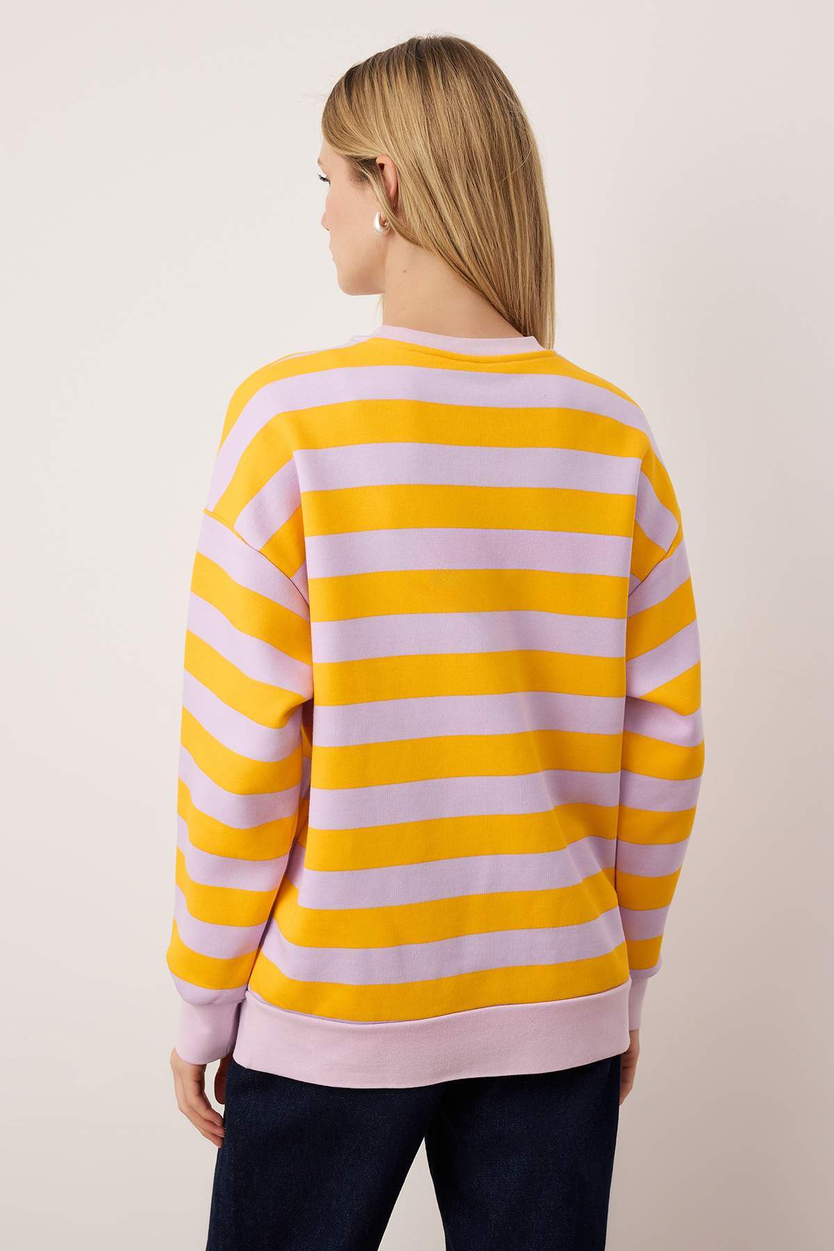 Çok Renkli Regular/Normal Kalıp Örme Sweatshirt TWOAW26SW00212