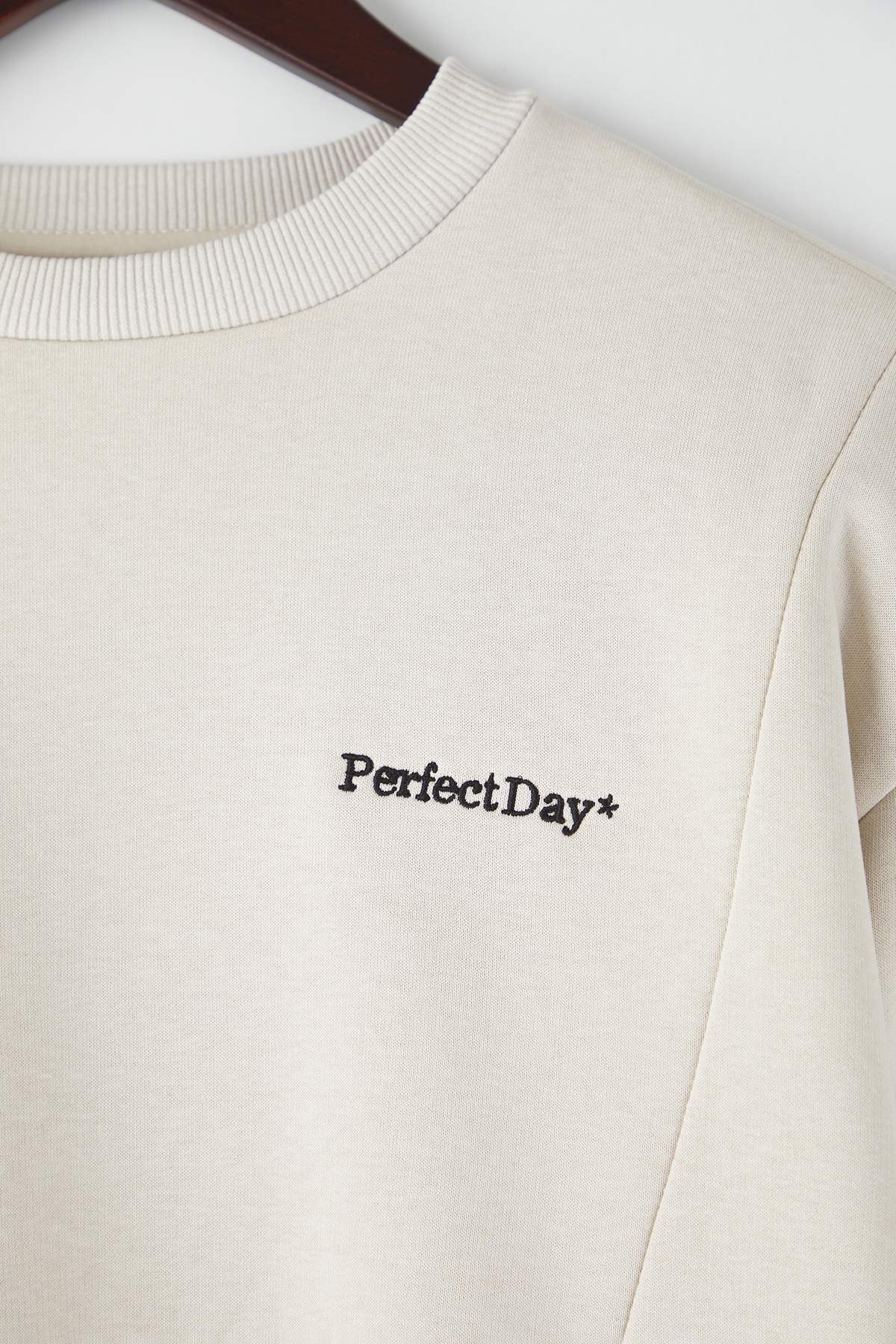 Trendyolmilla Teen Kahverengi Regular Dantel Detaylı Slogan Nakışlı Kalın Polarlı Örme Sweatshirt TWOAW26SW00153