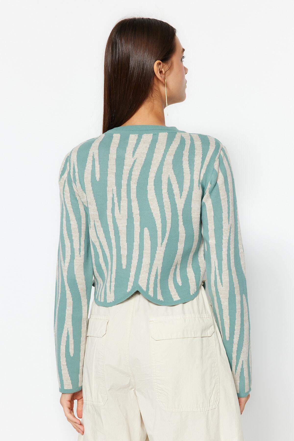 Mint Crop Zebra Desenli Renk Bloklu Triko Kazak TWOAW24KZ00694