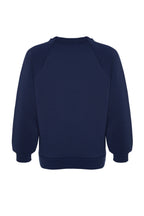 Trendyolmilla Lila Relaxed/Rahat Kalıp Basic Reglan Kol Bisiklet Yaka Örme Sweatshirt TWOAW24SW00104