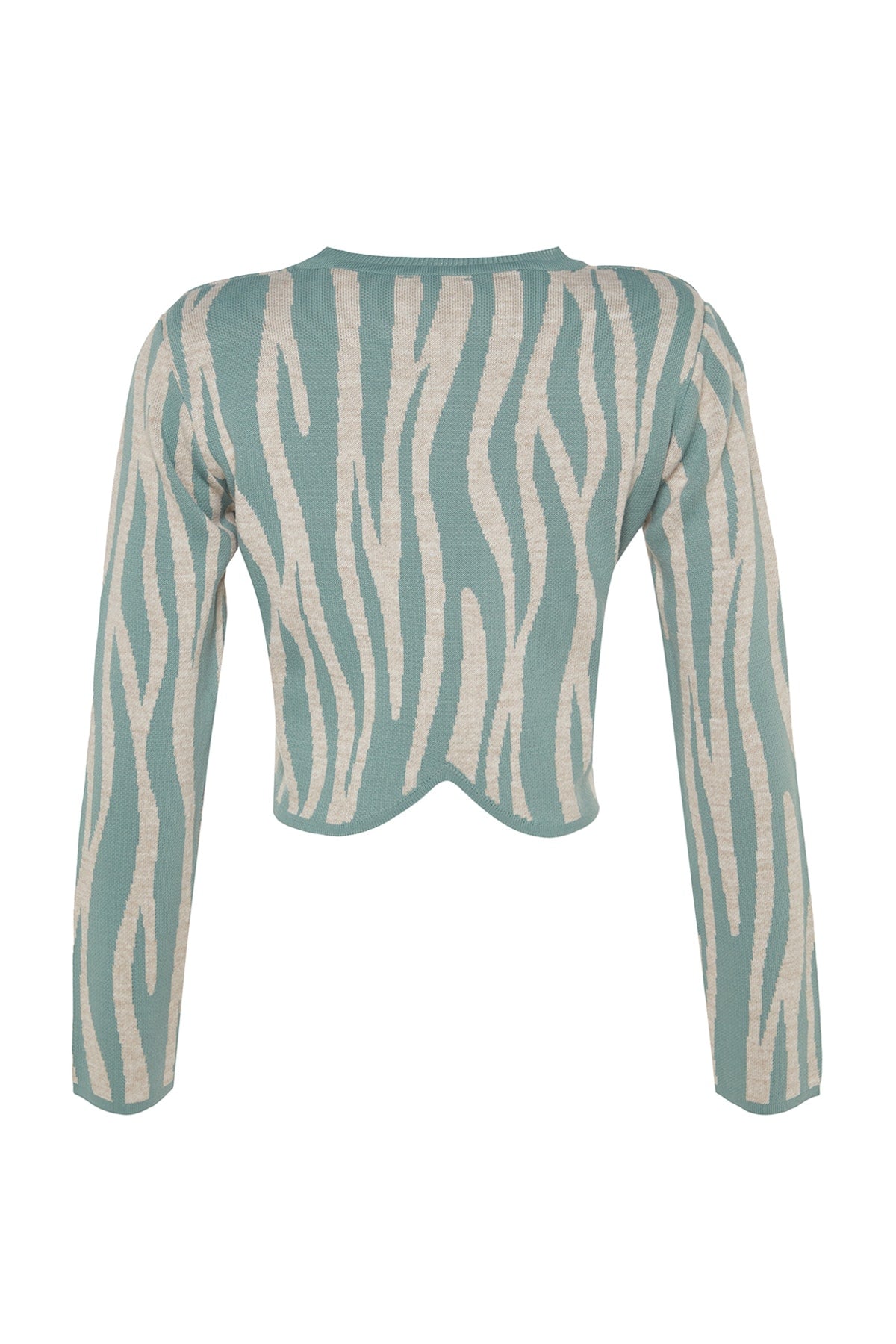 Mint Crop Zebra Desenli Renk Bloklu Triko Kazak TWOAW24KZ00694