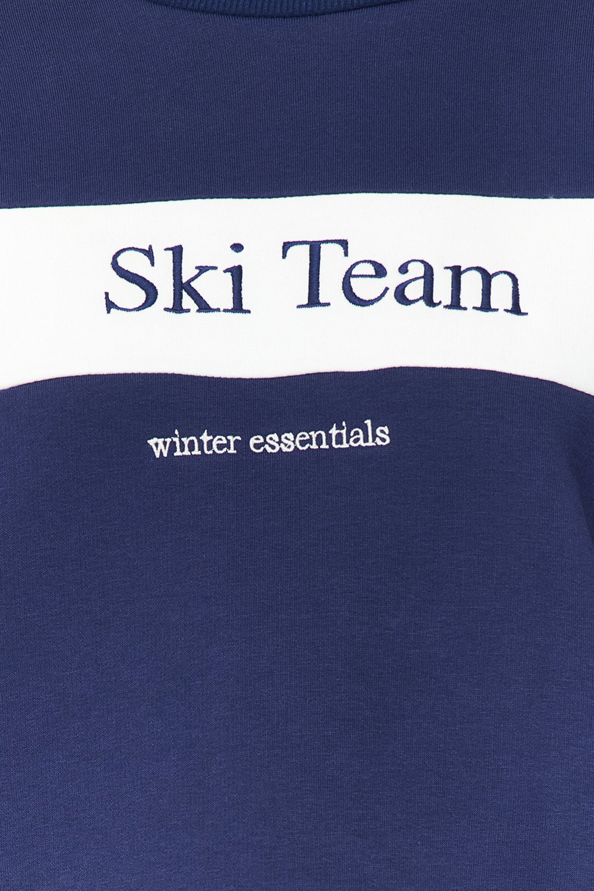 Winter Essentials Lacivert Kalın İçi Polarlı Slogan Nakışlı Regular Örme Sweatshirt TWOAW24SW00117