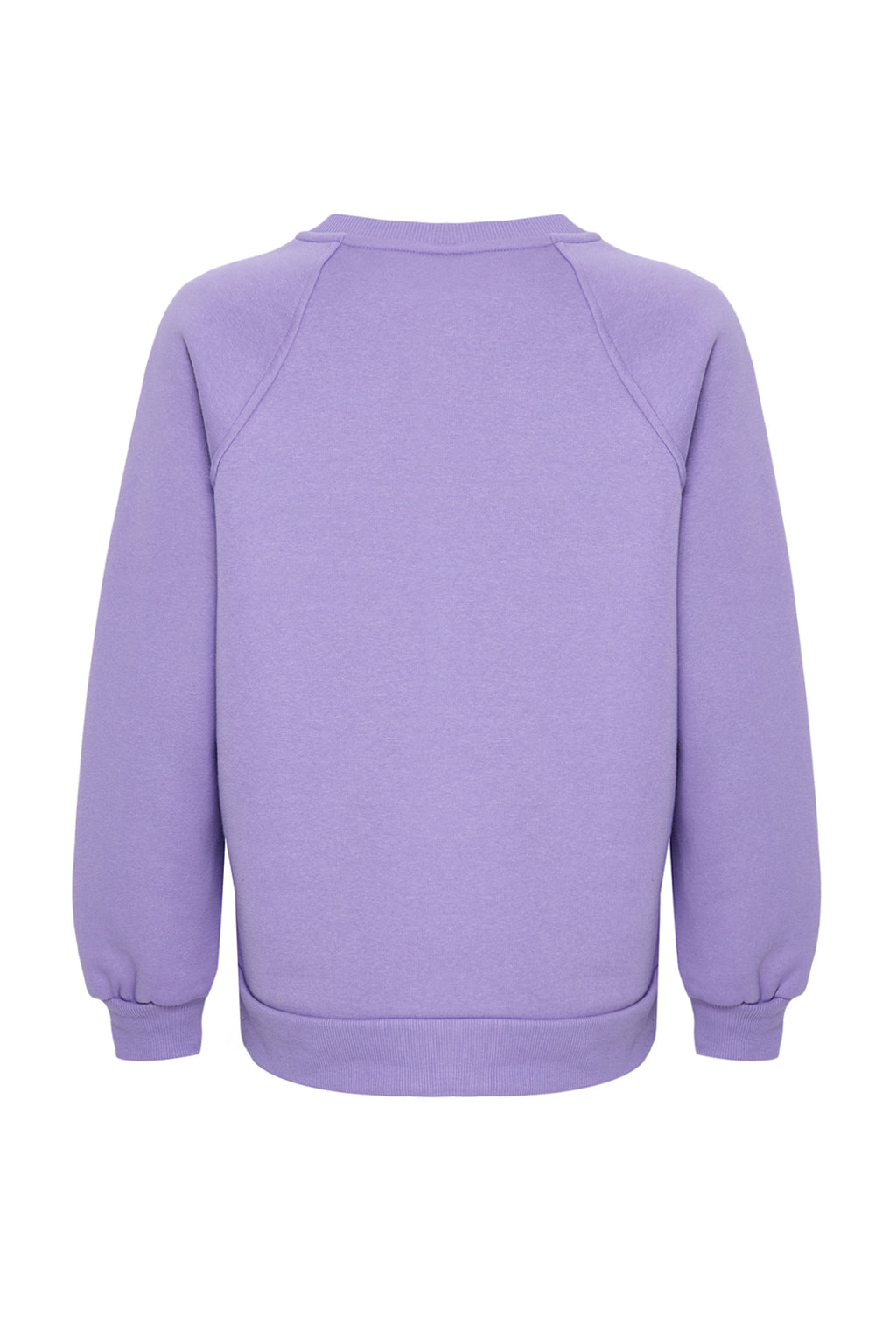 Trendyolmilla Lila Relaxed/Rahat Kalıp Basic Reglan Kol Bisiklet Yaka Örme Sweatshirt TWOAW24SW00104