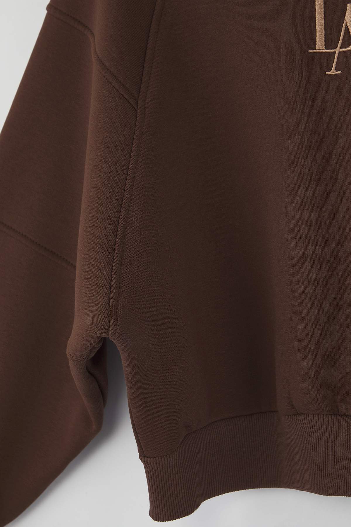 Trendyolmilla Taş Bisiklet Yaka Regular Fit Nakışlı Kalın İçi Polarlı Örme Sweatshirt TWOAW24SW00199