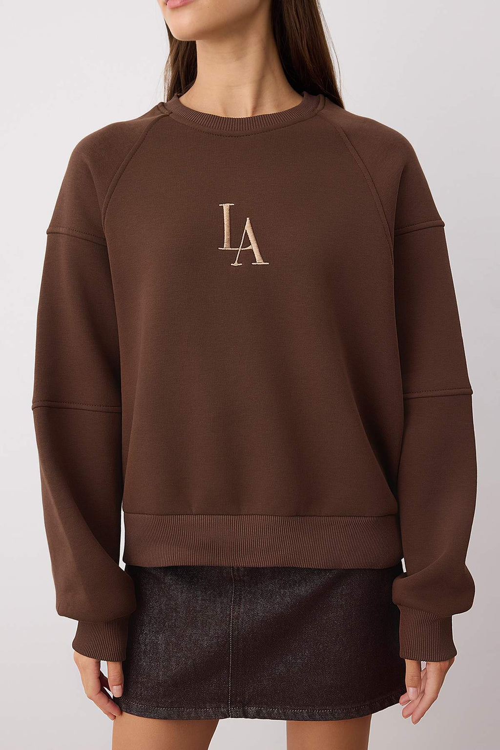 Trendyolmilla Taş Bisiklet Yaka Regular Fit Nakışlı Kalın İçi Polarlı Örme Sweatshirt TWOAW24SW00199