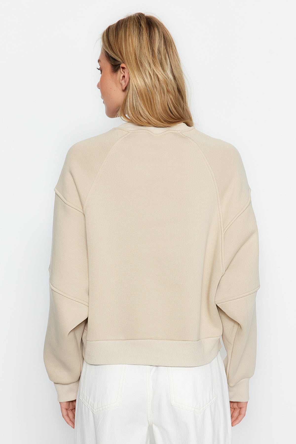 Trendyolmilla Taş Bisiklet Yaka Regular Fit Nakışlı Kalın İçi Polarlı Örme Sweatshirt TWOAW24SW00199