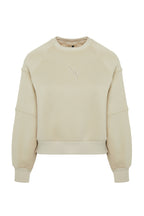 Trendyolmilla Taş Bisiklet Yaka Regular Fit Nakışlı Kalın İçi Polarlı Örme Sweatshirt TWOAW24SW00199