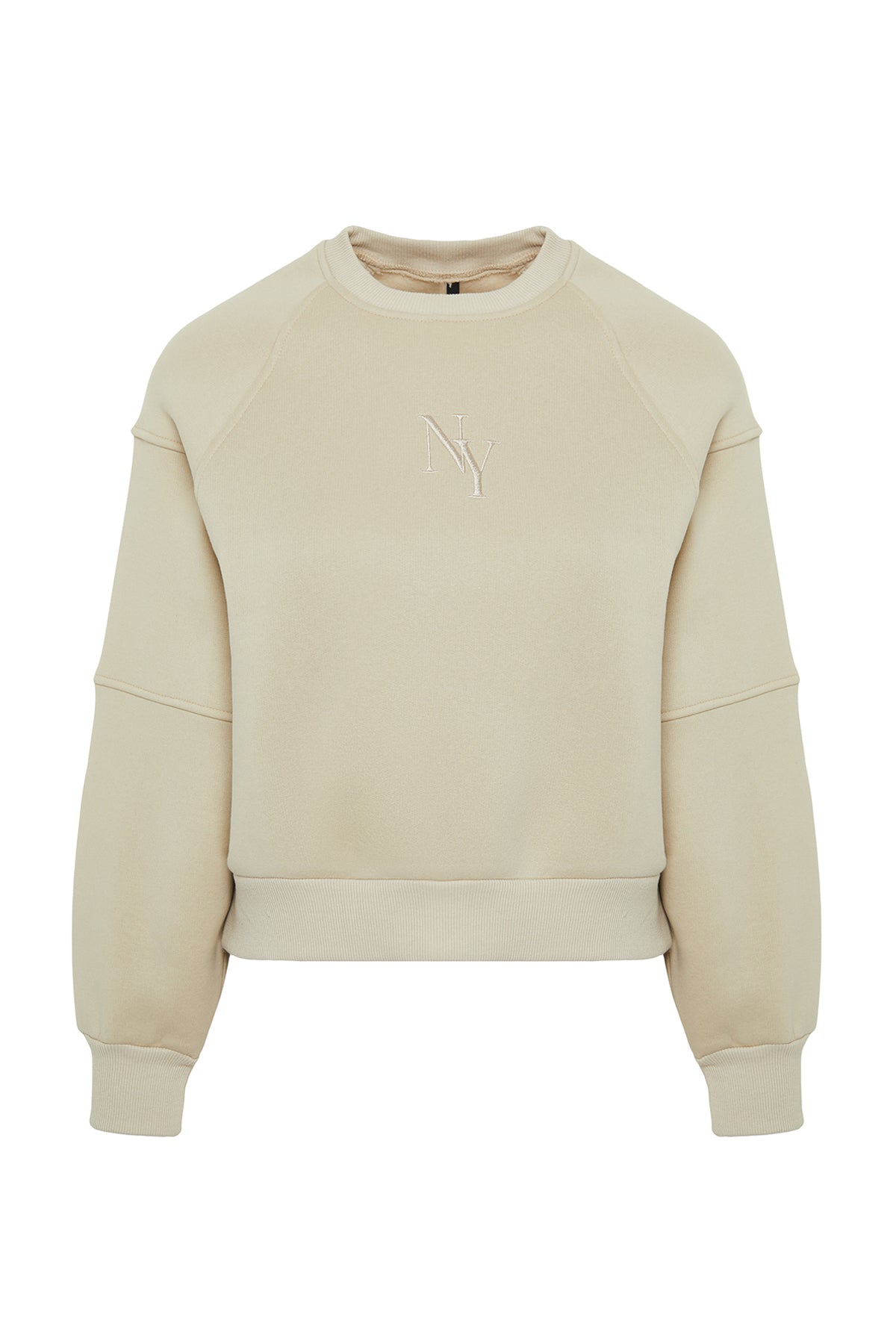 Trendyolmilla Taş Bisiklet Yaka Regular Fit Nakışlı Kalın İçi Polarlı Örme Sweatshirt TWOAW24SW00199