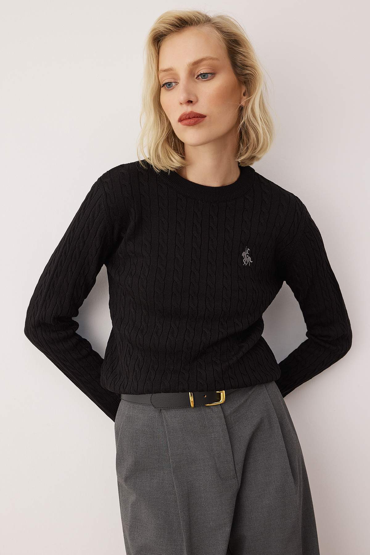 Trendyolmilla Siyah At Nakışlı Saç Örgü İnce Triko Kazak TWOAW26KZ00122 الصورة الرئيسية