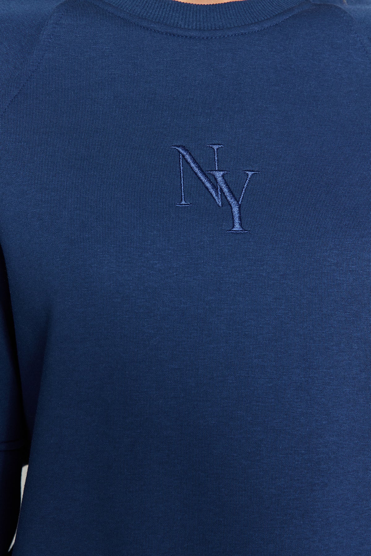 Trendyolmilla Taş Bisiklet Yaka Regular Fit Nakışlı Kalın İçi Polarlı Örme Sweatshirt TWOAW24SW00199