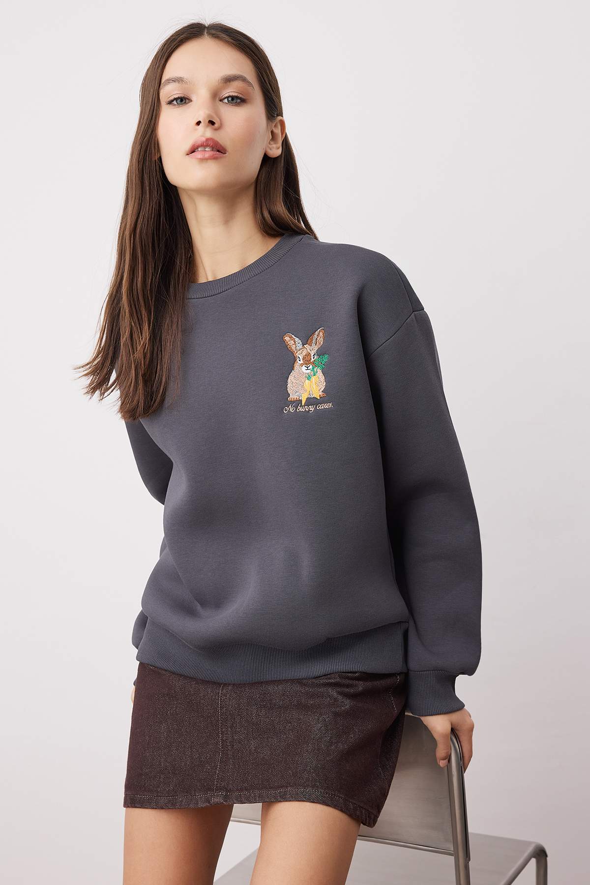 Antrasit Animal Nakışlı Regular/Normal Kalıp Kalın İçi Polarlı Örme Sweatshirt TWOAW24SW00196 Secondary image