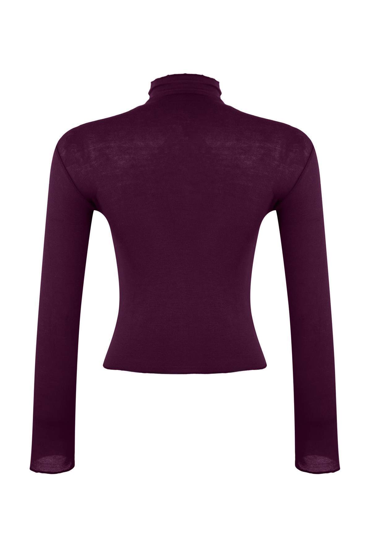 Mor Transparan Dik Yaka Esnek Normal Boy Örme Bluz TWOAW26BZ00266