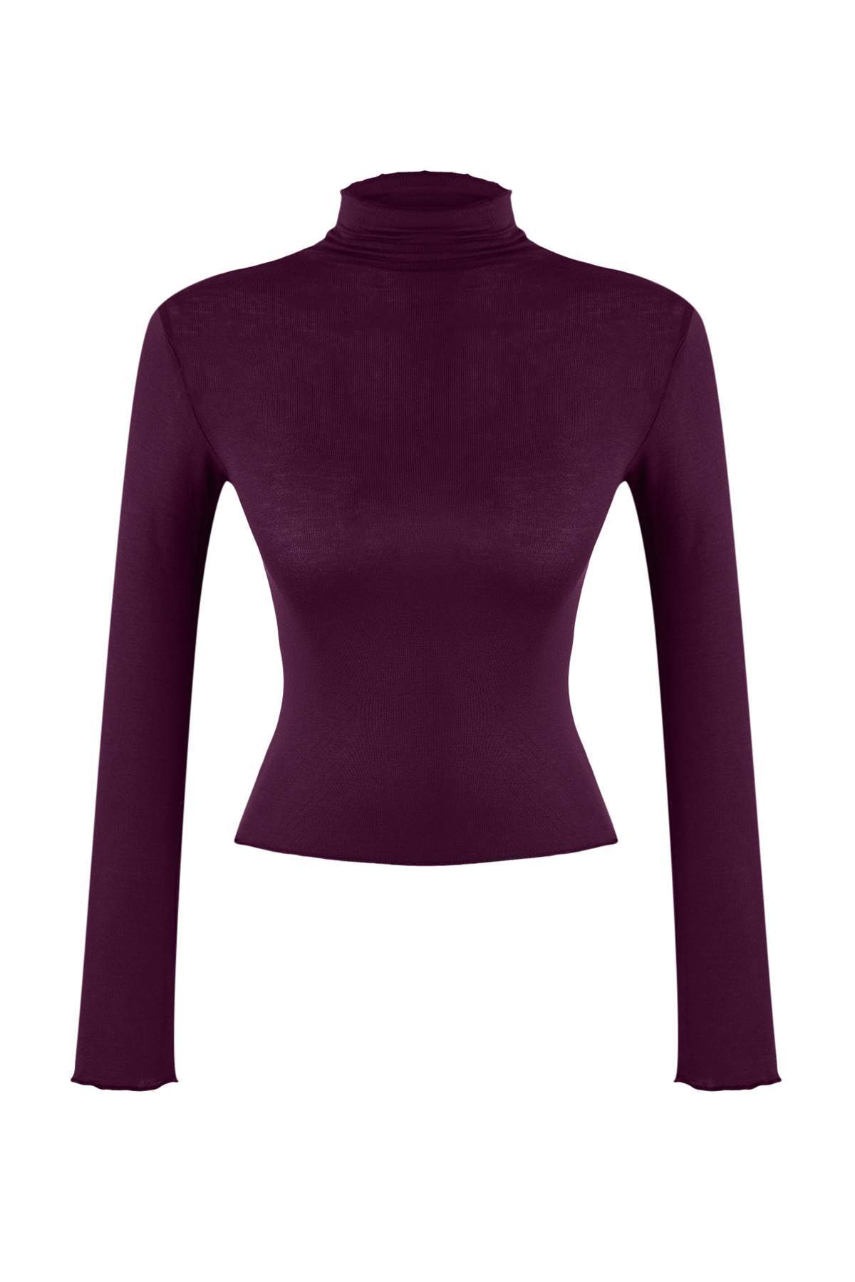 Mor Transparan Dik Yaka Esnek Normal Boy Örme Bluz TWOAW26BZ00266